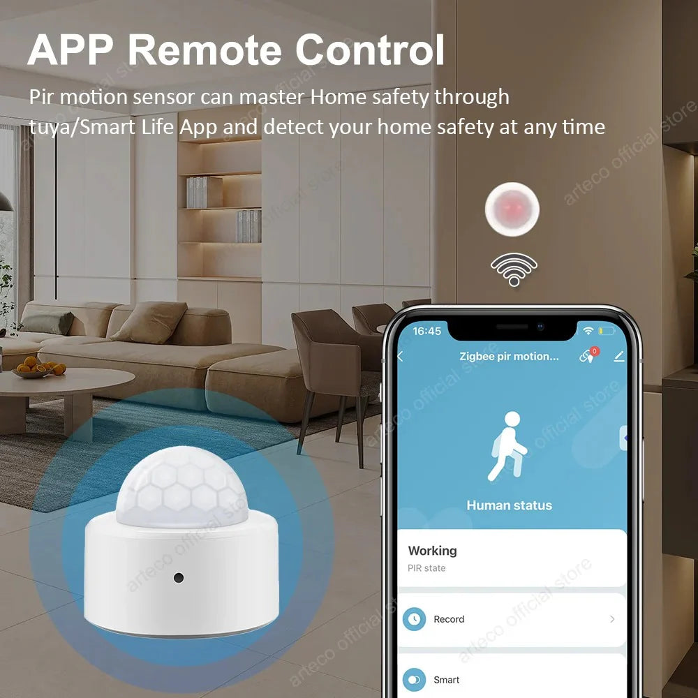 Wireless Motion Sensor